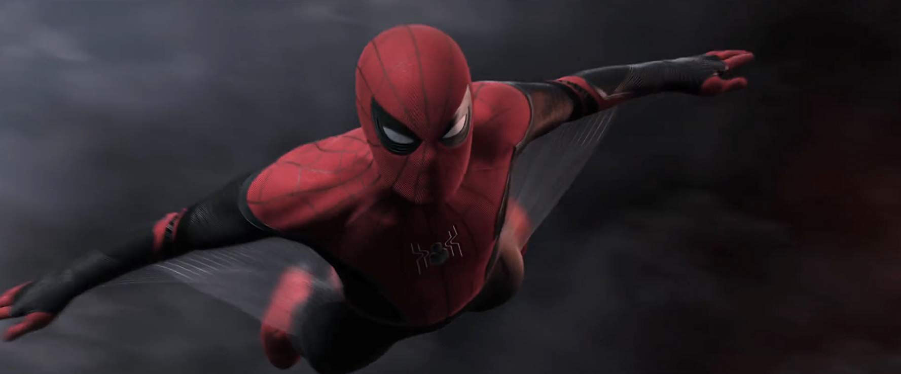 spider4.jpg